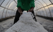A farmers collect salt during a harvest at a salt farm in Banda Aceh, Indonesia on Monday,...