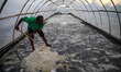 A farmers collect salt during a harvest at a salt farm in Banda Aceh, Indonesia on Monday,...