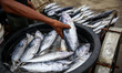 A fishmonger sale of fresh fish at a traditional fish market in Lampulo, Banda Aceh, Indon...