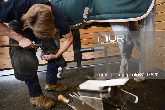 Spruce Meadows Masters Tournament Kicks Off In Calgary