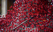 Members of the public look at an installation entitled 'Weeping Window' which comprises of...