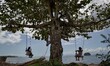 Young girls play with swings hanging from a tree, one year since Typhoon Haiyan hit, in th...