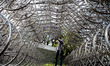 the Oca (in the Ibirapuera Park in São Paulo) will be taken by the largest solo exhibition...