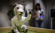 New Aibo pet robot is shown in the Sony Square Shibuya Project in Tokyo, Japan in October...