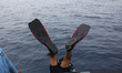Frog Man team from Indonesian Navy conduct underwater an underwater search on the SAR oper...
