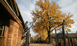 Nazi concentration camp Auschwitz-Birkenau in Oswiecim, Poland. October 30, 2018. 