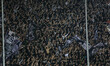 PAOK fans in the stadium in gate 4. FC PAOK vs Panathinaikos (PAO) FC 2 -0  in Toumba stad...