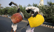 Two "dhaki's" -traditional drummers who play the dhak (drum) playing during a rally to cel...