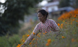An old woman picking marigold flower for the Tihar Festival or festival of lights and fest...