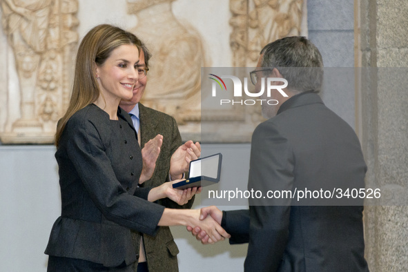  Queen Letizia of Spain attends the 2013 Velazquez Plastic Arts Awards ceremony at El Prado Museum on November 17, 2014 in Madrid, Spain.  P...