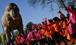 An inflatable T-rex hoovers over dancers while standing by for the live broadcast of the 9...