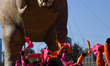 An inflatable T-rex hoovers over dancers while standing by for the live broadcast of the 9...