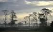 A man walking in the cold early morning as clouds gather on the sky  in the outskirt of Gu...
