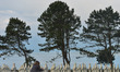 A view of the Normandy American Cemetery and Memorial in Colleville-sur-Mer. In the year...