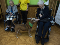 A group of elderly women with reduced mobility of the San Cipriano Residence in Soto de la Marina, Cantabria, Spain, on 16 January  caress M...