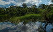 Lago de Marasha is an ecological preserve in the Peruvian Amazon near Leticia Colombia on...