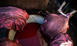Man at work inside Chouara Tannery, one the older and biggest open tanneries in the world...