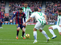 BARCELONA -20 de diciembre- SPAIN: Leo Messi in the match between FC Barcelona and Cordoba CF, for the week 16 of the spanish Liga BBVA matc...