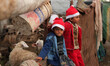  	Palestinian Bedouin children wearing Santa Claus hat offers food for sheep outside their...