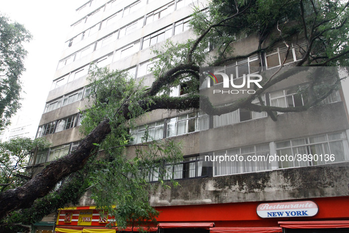 Storm In Sao Paulo