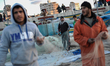 Palestinian fishermen pull their nets as they collect fish at the seaport in Gaza city on...