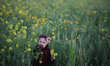 A Palestinian girl  pick wild mustard flowers which grow in untilled fields across the Gaz...