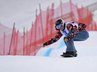 Tess Critchlow from Canada, during a Ladies' Snowboardcross Qualification round, at FIS Snowboard World Championship 2015, in Kreischberg. K...