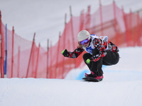 Zoe Bergermann from Canada, during a Ladies' Snowboardcross Qualification round, at FIS Snowboard World Championship 2015, in Kreischberg. K...