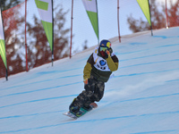 Kyle Mack from USA, during Men's' Snowboard Slopestyle final, at FIS Freestyle World Ski Championship 2015, in Kreischberg, Austria. 21 Janu...