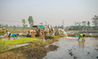 Rice fields in Sauraha, Chitwan National Park, Nepal, on March 24, 2019.  