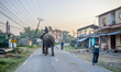 Daily Life in Sauraha, Chitwan National Park, Nepal, on March 28, 2019.  
