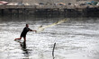 Fisherman throws fishing nets within the basin Gaza port