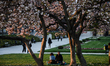 People are seen enjoying the good weather under a blossom tree in the central part of Zagr...