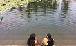 Children play in the water at a newly renovated community pond in Thrikkannapuram, Kerala,...