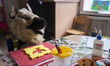 Dog toy sitting at the children desk in playing room, Orphanage 'Zhytomyr regional childre...