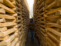 HALMULLAH, INDIAN ADMINISTERED KASHMIR, INDIA - FEBRUARY 11: A worker counts stacks of willow cleft used in making cricket bats in a factory...
