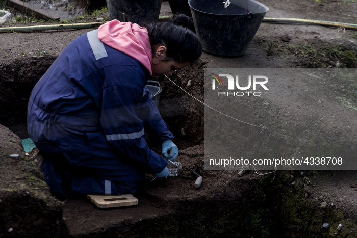 Archaeo-paleontological Site Of Pilauco