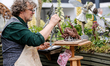 A sculptor, Robert James works in his pavilion in Royal Hospital Chelsea gardens as the RH...