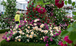 A visitor in Royal Hospital Chelsea gardens as the RHS Chelsea Flower Show opens in London...