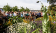 Crowds of visitors watch garden designs at the RHS Chelsea Flower Show opens in London, En...