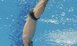 Hixon Mike of USA action during an 18th FINA World Championships Gwangju Men's 1m Springbo...