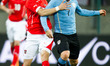 05.03.2014, Woerthersee Arena, Klagenfurt, AUT, Testspiel, Oesterreich vs Uruguay, im Bild...
