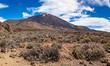 Panoramic view of the standing rock, Roque Cinchado, a rock pillar of 27m high made of vol...
