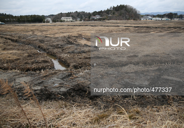 (150310) -- FUKUSHIMA, March 10, 2015 () -- Damaged fields and houses are seen in the Futaba District, located well within the 20-kilometer...
