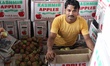 A man fills boxes with Kashmiri apples at Azadpur Fruit Market in New Delhi India on 07 Se...