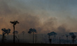 PARA, BRAZIL, 29/08/2019 -  Amazon forest area is burned in rural Novo Progresso, in Para,...