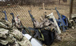 Mock-up guns at training center 'Patriot', Kyiv, Ukraine. 15 of March, 2015.  