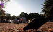 People relax in warm early evening sunshine in Kensington Gardens in London, England, on S...
