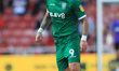   Steven Fletcher of Sheffield Wednesday during the Sky Bet Championship match between Mid...