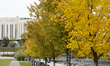 Trees in fall colors are seen on the Mill Island in Bydgoszcz, Poland on October 9, 2019. 